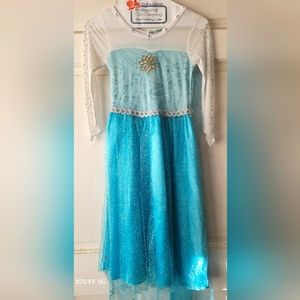 Disney Elsa costume dress